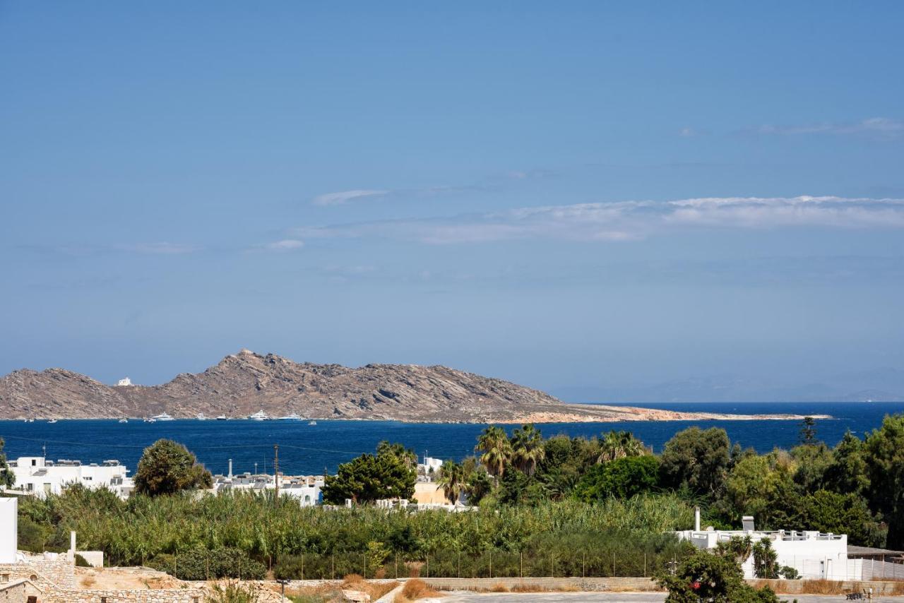 Hara'S Villa In Naousa , Paros Exterior foto